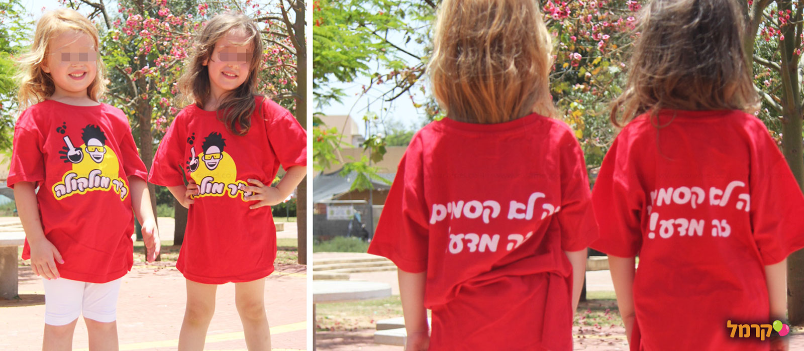 ד"ר מולקולה - 073-7842360