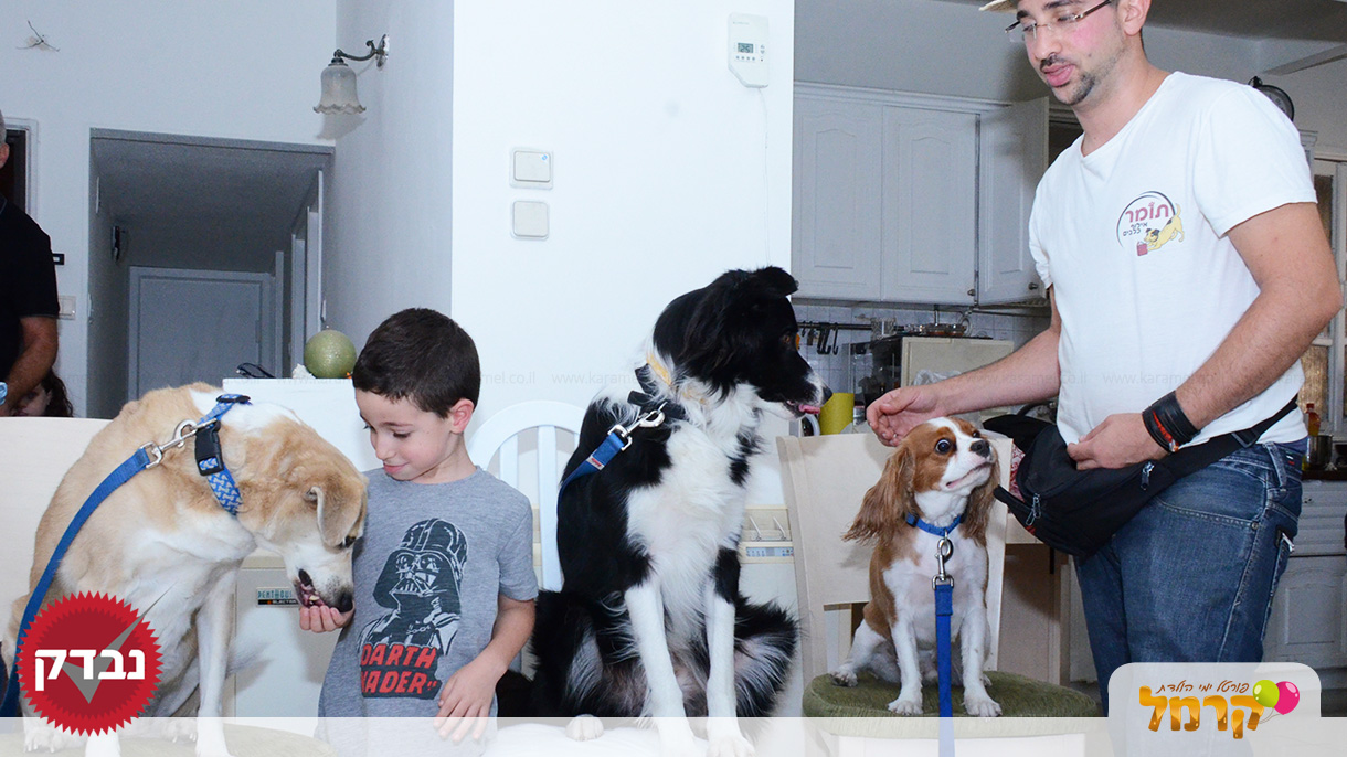 עולם הכלבים של תומר - 073-7585455